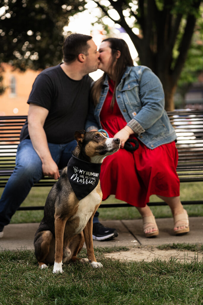 including your pet in engagement session