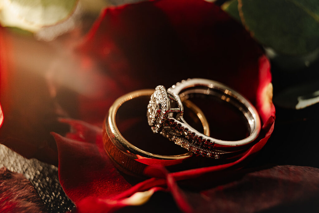 detail shot of rings